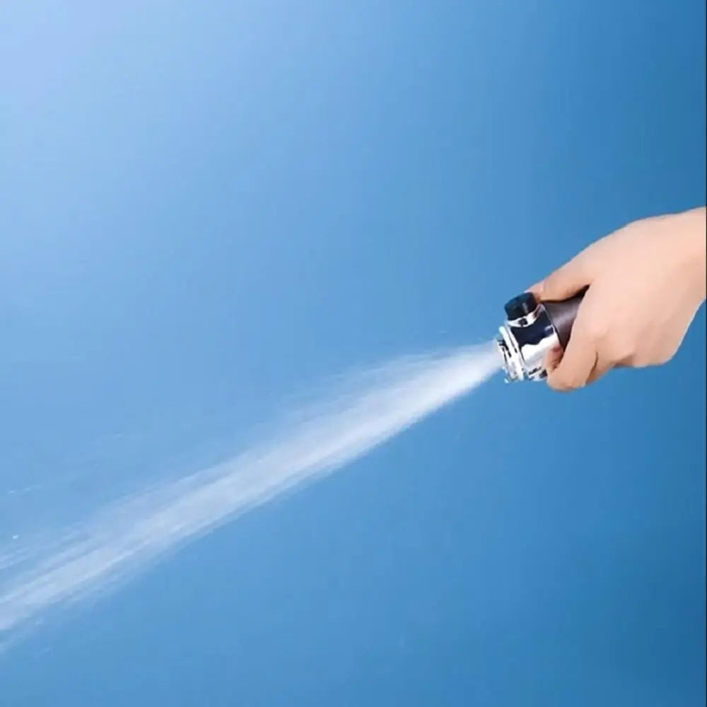 فلتر الدش، رأس الدش 