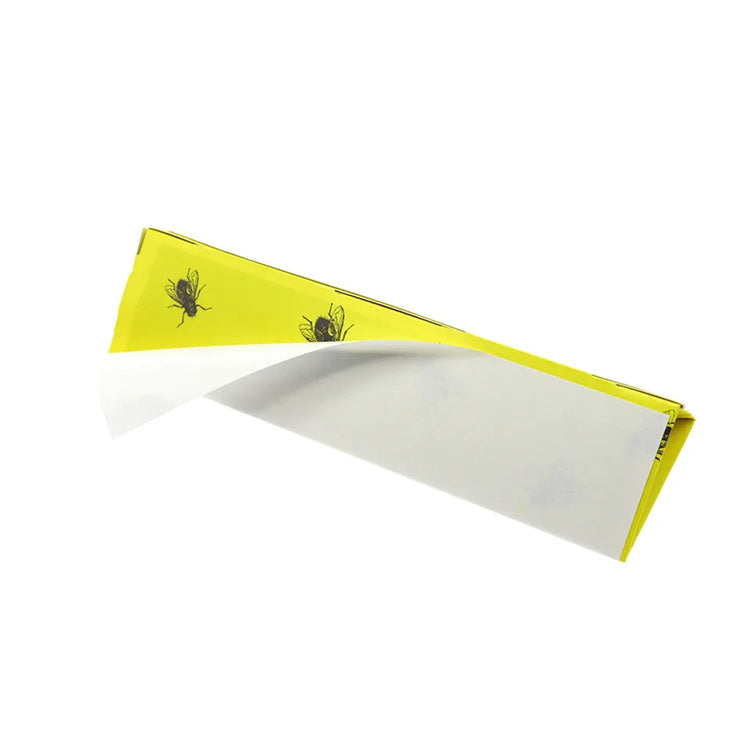 مصيدة الحشرات الطائرة